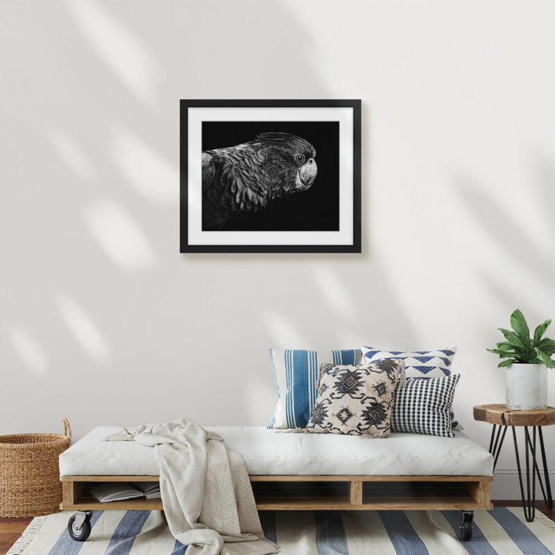 Black Cockatoo - Image 2