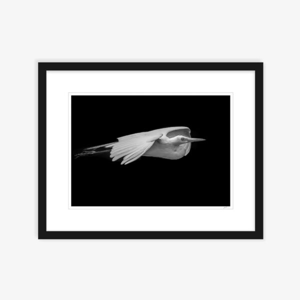 12. Flight