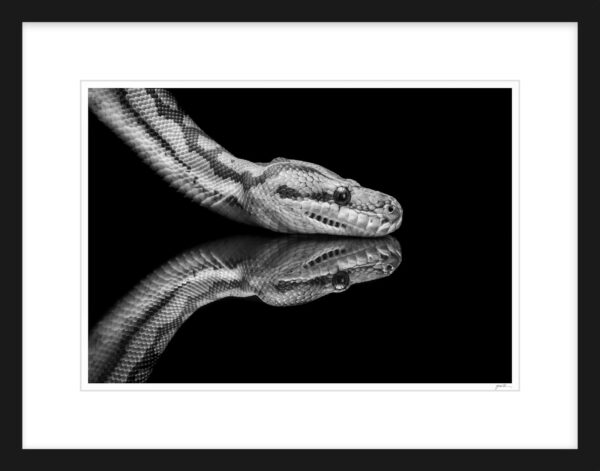 13. Python Reflections