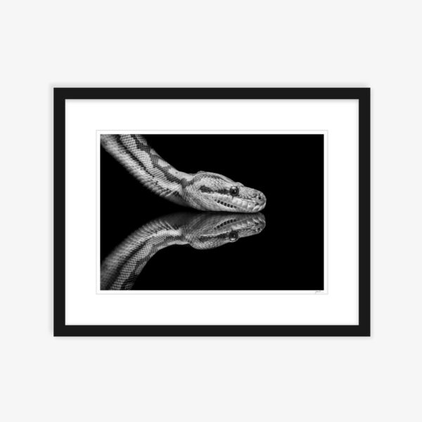 13. Python Reflections