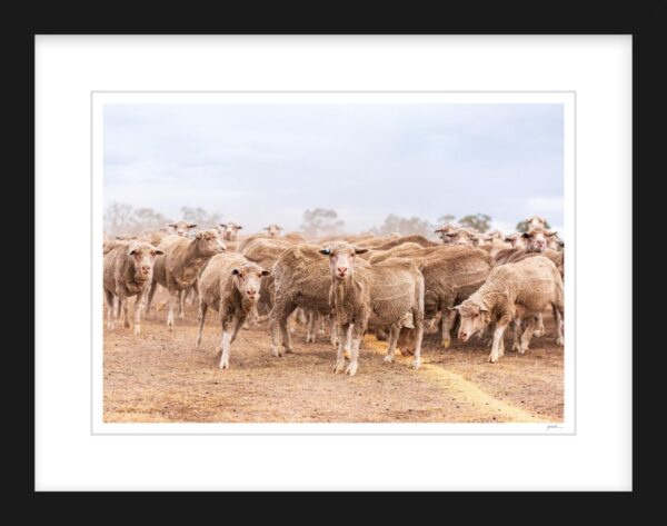 20. Our Feed Not Yours