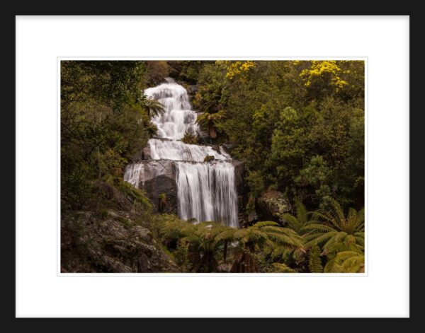 52. Fainter Falls Victoria