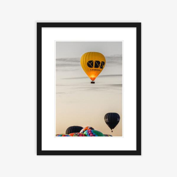 Balloon Series Nine