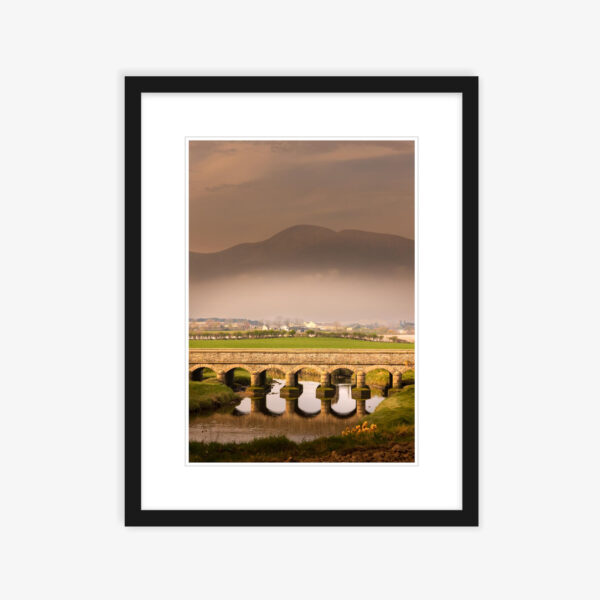 Irish Bridge