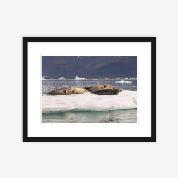 Iceland Ice Series No 5