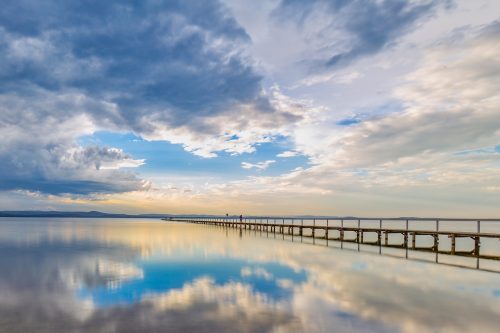 Afternoon Reflections