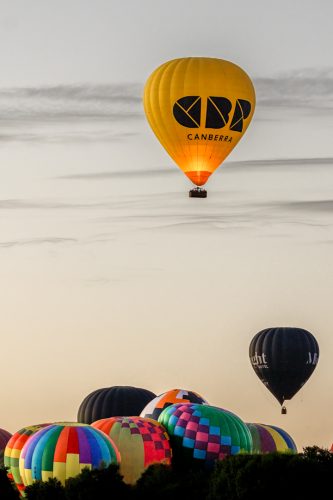 Balloon Series Nine