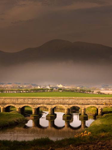 Irish Bridge