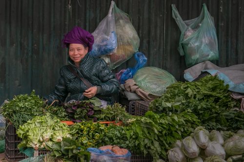 Markets green to go