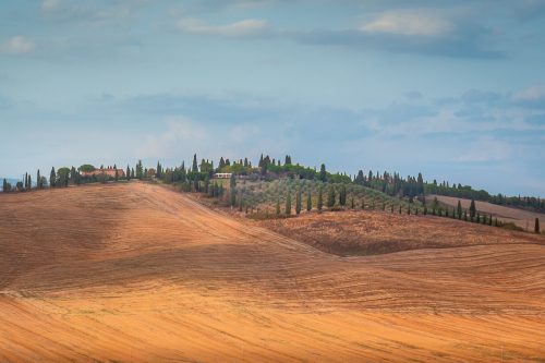 Tuscany Summer
